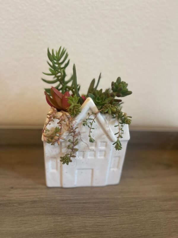 CERAMIC HOUSE DESIGN POT